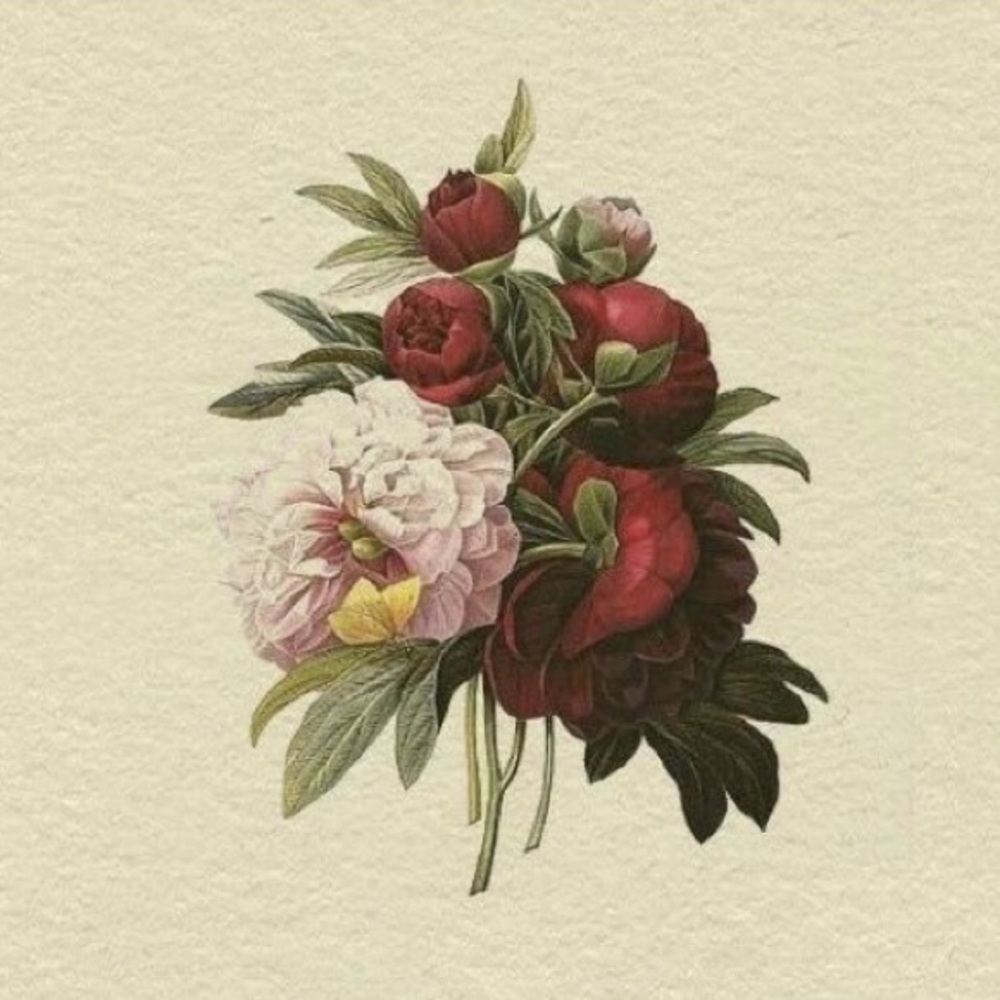 Meet your Posher, Kamily